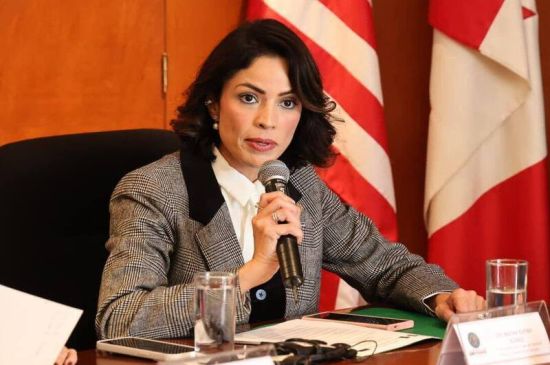 Diputados preparan fideicomiso con cargo a turistas para fondear trenes